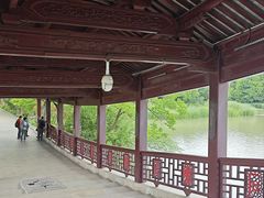 -长广溪湿地公园