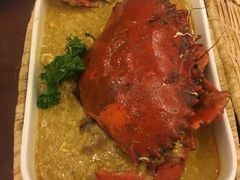-茉莉.Red Crab