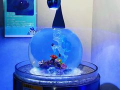 -厦门海底世界