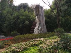 -习家池
