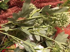 -百荣世贸商城