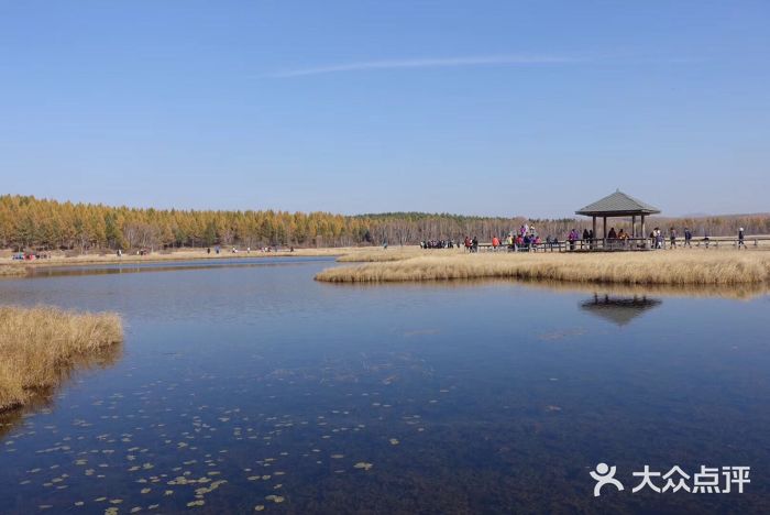 塞罕坝国家级自然保护区图片