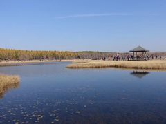 -塞罕坝国家级自然保护区