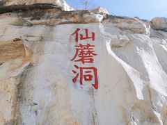 -仙蘑洞