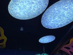 -上海海昌海洋公园
