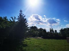 -长白岛森林公园