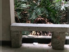 -华南国家植物园-售票处