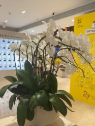 -深圳阳光医疗美容医院·旗舰店
