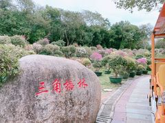 景点-三亚蜈支洲岛旅游区