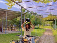 -广东花都香草世界旅游度假区