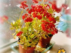 -派悦坊·甜品·蛋糕(日坛店)