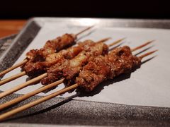 羊肉串-管氏翅吧(护国寺店)