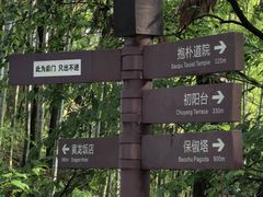 -杭州黄龙洞