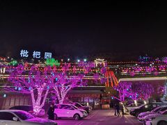 -枇杷园食为鲜火锅(南山店)