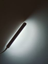 -R&Y·肌について日韩问题肌皮肤管理