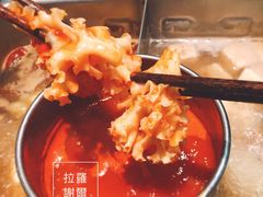 绣球菌-草原塞蛮羊火锅城(港湾店)