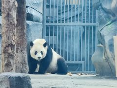 -武汉动物园