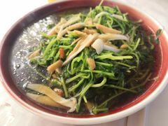 松茸菌豆苗-丰收日·小海鲜·沪上家宴(顾村正大店)
