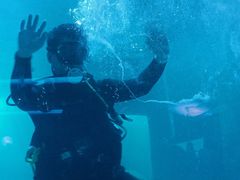 -石家庄海洋公园