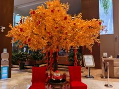 -上海国展宝龙丽筠酒店