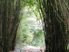 -三国赤壁古战场