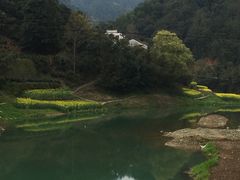 -新安江山水画廊风景区