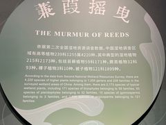 -中国湿地博物馆
