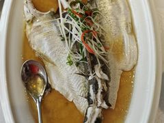 -老洋房花园饭店(绍兴路店)
