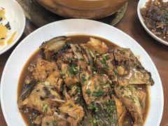 -全乐鱼馆·淳牌有机鱼直营店