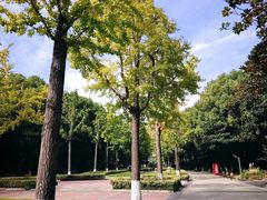 -苏州河梦清园环保主题公园