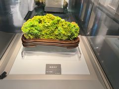 -安徽省地质博物馆