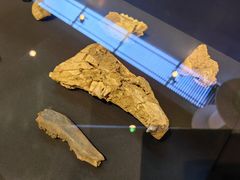 -北京周口店北京人遗址博物馆