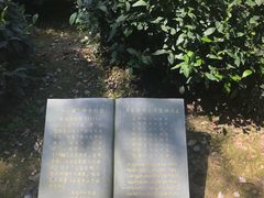 -十八棵（老龙井）御茶园(老龙井店)