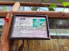 -上海大自然野生昆虫馆(东方明珠·爬宠昆虫探索中心)