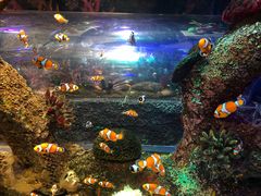 -沈阳海洋探索中心