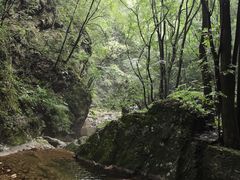 -牛背梁国家森林公园