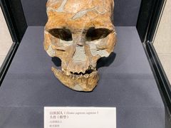 -北京周口店北京人遗址博物馆