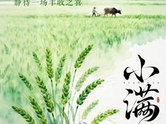 -野菌王牦牛肉汤锅