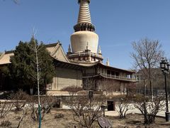 -张掖大佛寺景区