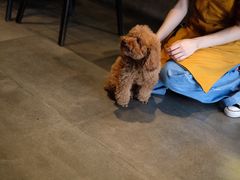 -Home Cafe(水榭春天店)
