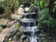 -斐兹洛伊花园