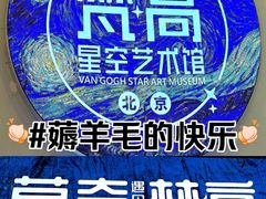 -梵高星空艺术馆(北京旗舰店)