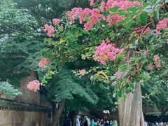 -青岛崂山太清宫