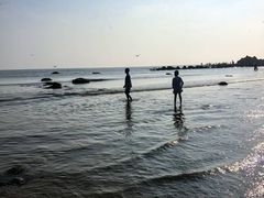 -南戴河旅游度假区
