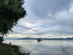 -洱海月湿地公园