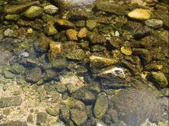 -碓臼峪自然风景区