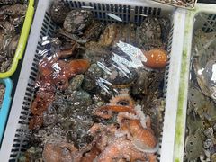 -霞涌市场海鲜摆卖区