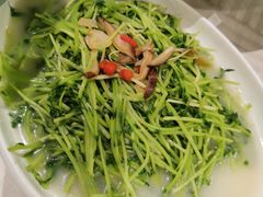 -石头咕(葵蓬店)