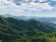 -大岭沟猕猴桃谷风景区