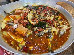 跳水蛙-靓蛙馆